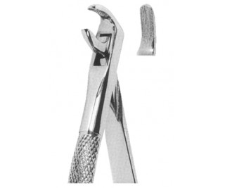 Extracting Forceps English pattern